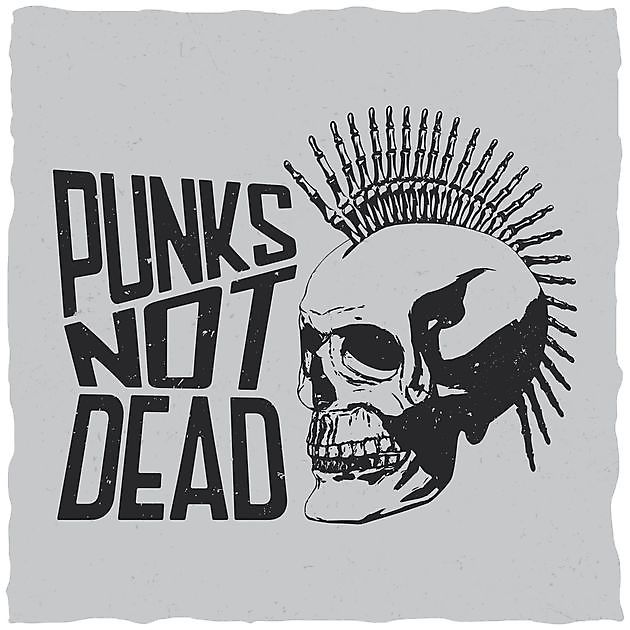 Punks Not Dead Reclame en Borduurstudio An Zuidbroek