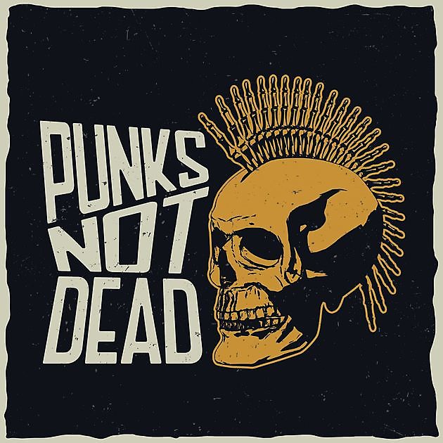 Punks Not Dead Reclame en Borduurstudio An Zuidbroek