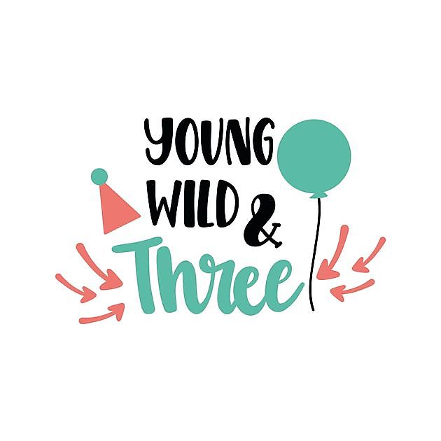 Young Wild And Three - Reclame en Borduurstudio An Zuidbroek