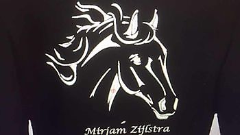 Paardensport Borduurstudio An Zuidbroek